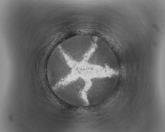 X0000116101009201001040947