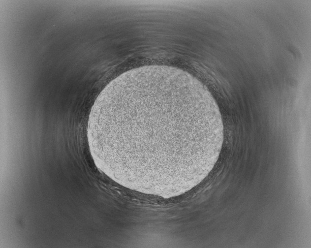 X0000116101010201001040947