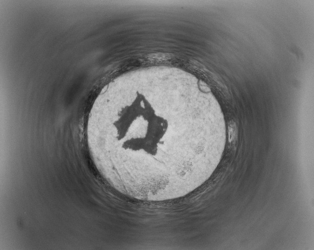 X0000116101011201001040947