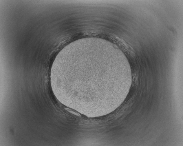 X0000116101012201001040947