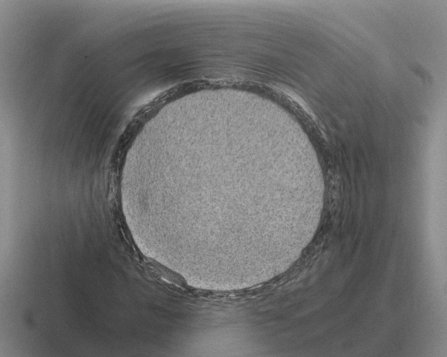 X0000116101016201001040947