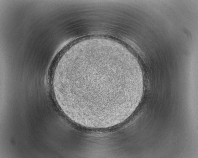 X0000116101022201001040948