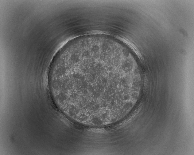 X0000116101023201001040948