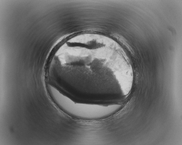 X0000116101024201001040948