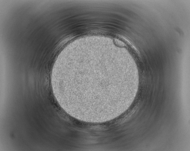 X0000116101025201001040948