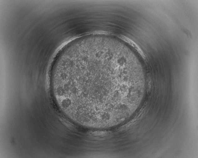 X0000116101027201001040948