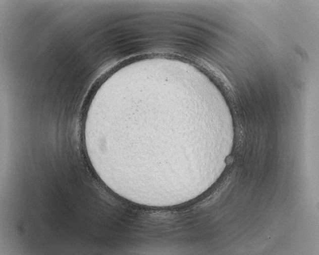 X0000116101029201001040948