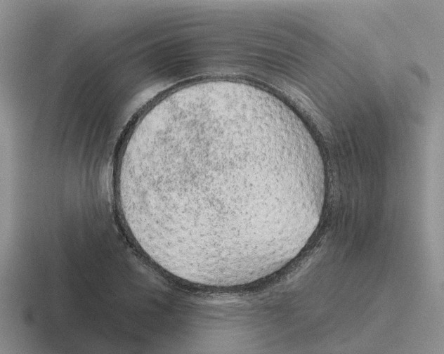 X0000116101030201001040948