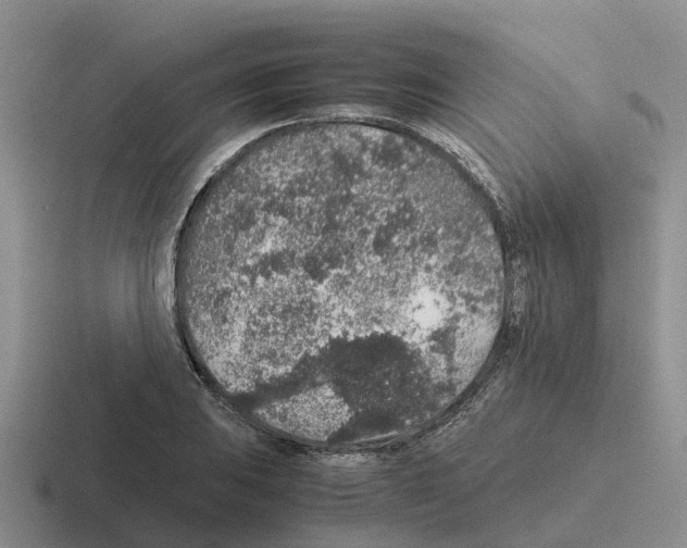 X0000116101031201001040948