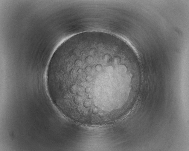 X0000116101032201001040948