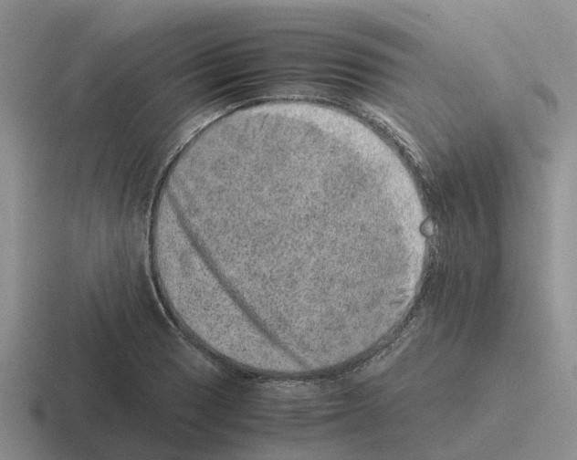 X0000116101033201001040948