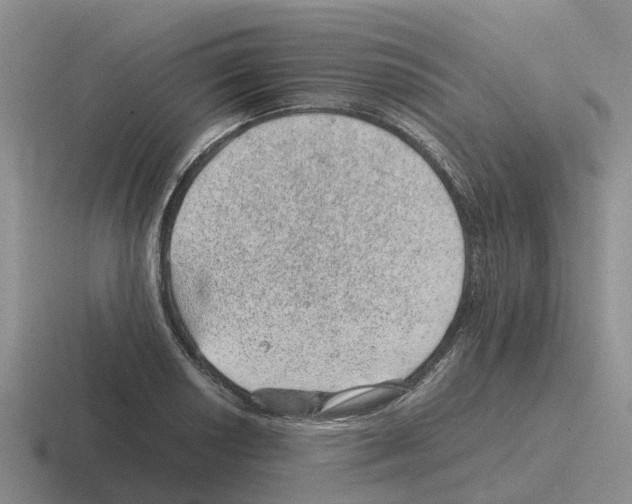 X0000116101034201001040948