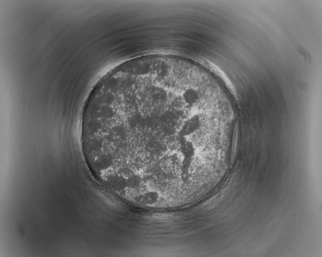 X0000116101035201001040948