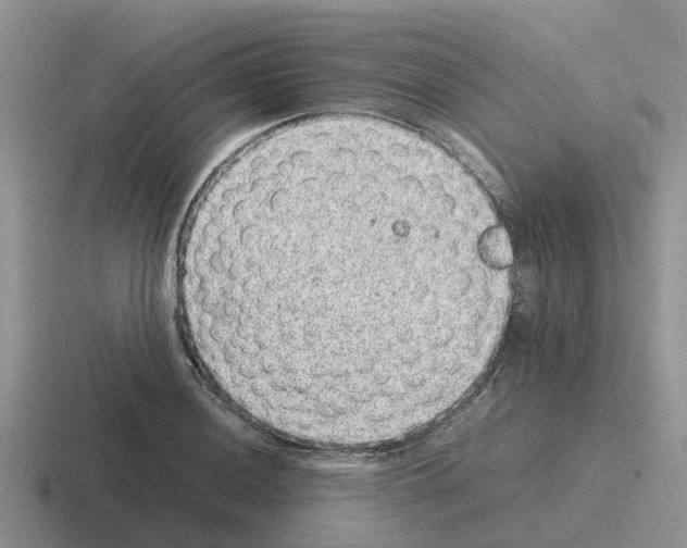 X0000116101036201001040948