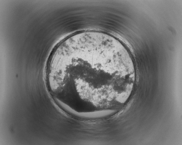 X0000116101037201001040948