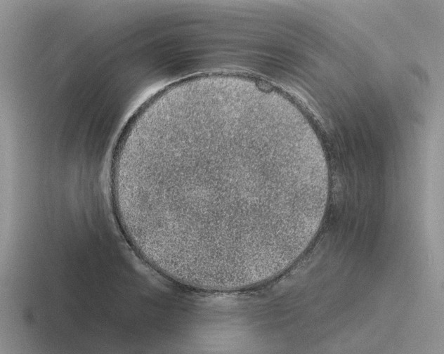 X0000116101038201001040948