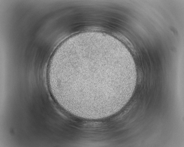 X0000116101039201001040948