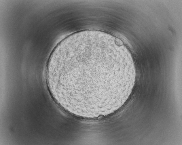 X0000116101040201001040948