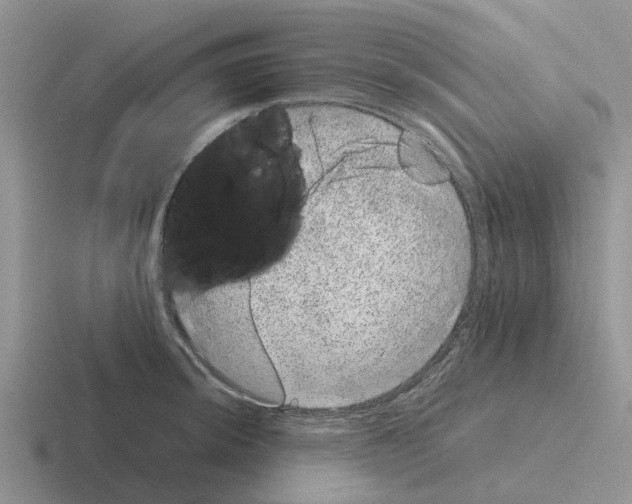 X0000116101044201001040948