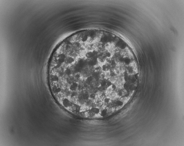 X0000116101045201001040948