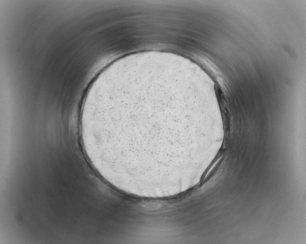 X0000116101046201001040948