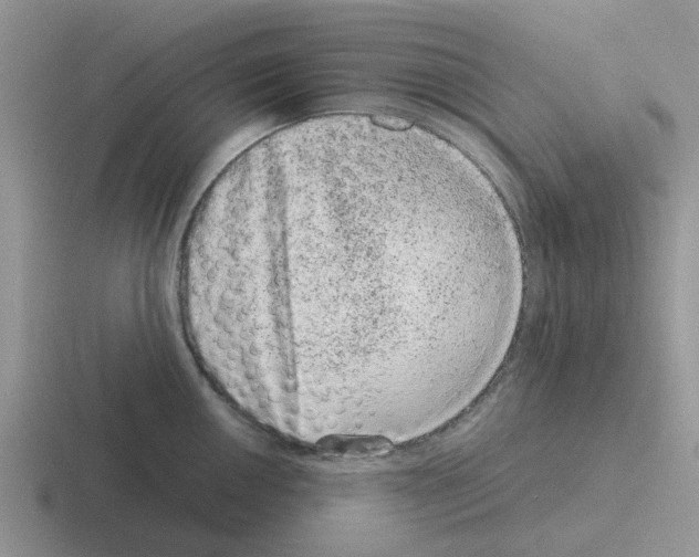 X0000116101050201001040948