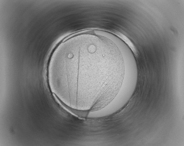 X0000116101051201001040948