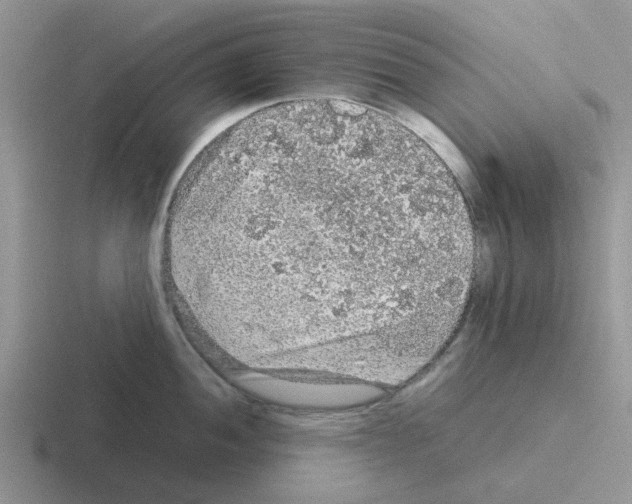 X0000116101052201001040948