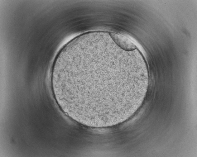 X0000116101053201001040948