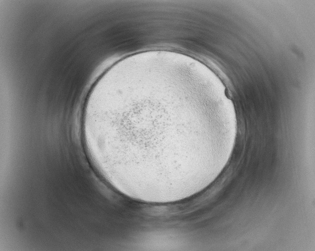 X0000116101054201001040948