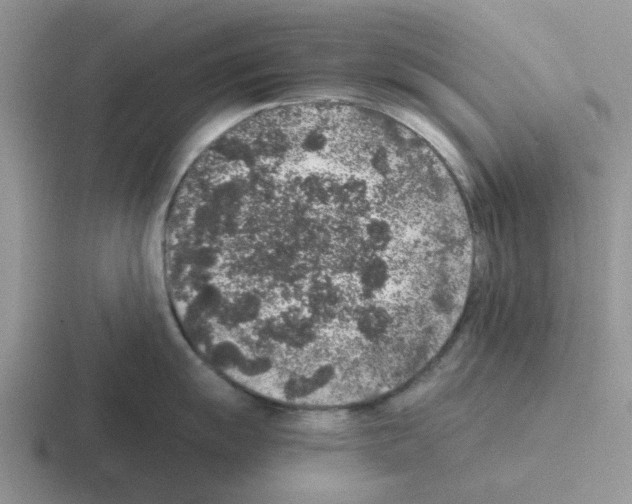 X0000116101055201001040948