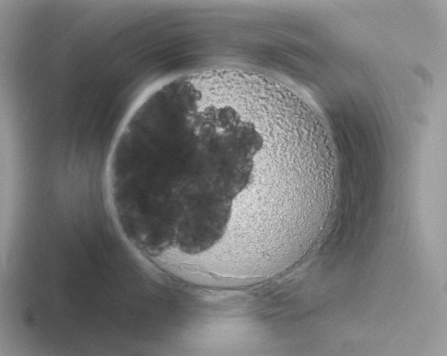 X0000116101056201001040948