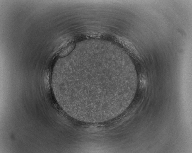 X0000116101060201001040947