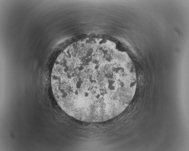 X0000116101063201001040947