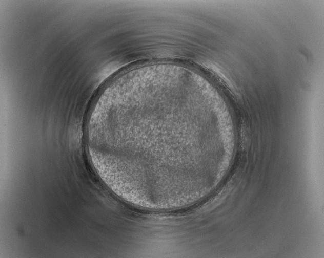 X0000116101065201001040947