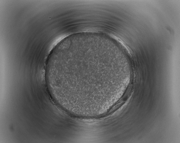 X0000116101066201001040947