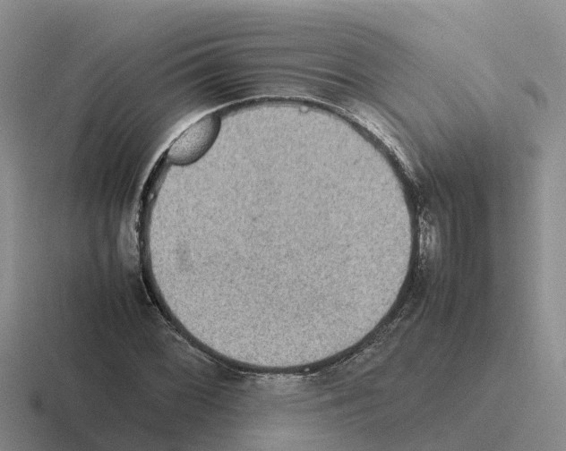 X0000116101068201001040947