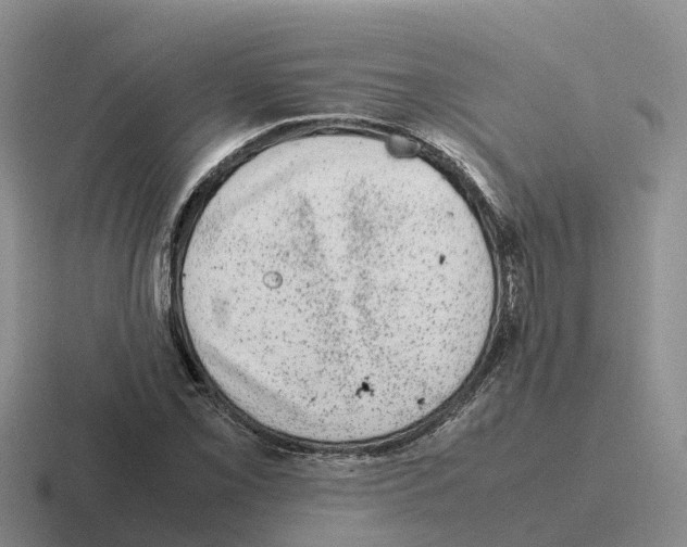 X0000116101069201001040947