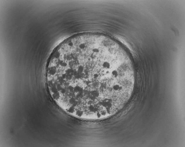 X0000116101071201001040947