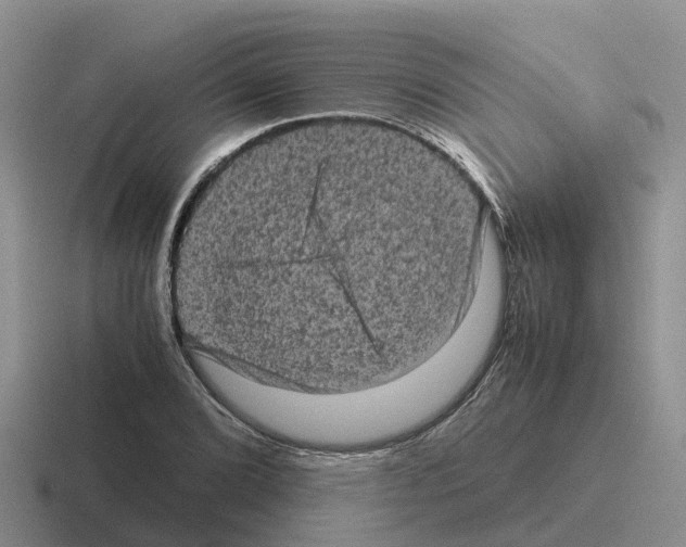 X0000116101072201001040947