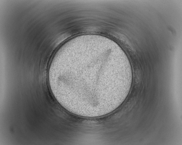 X0000116101073201001040947