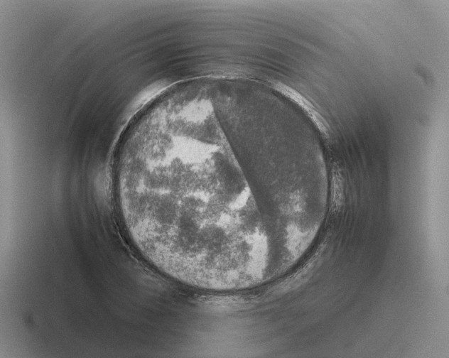 X0000116101074201001040947