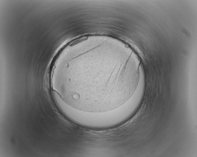 X0000116101075201001040947