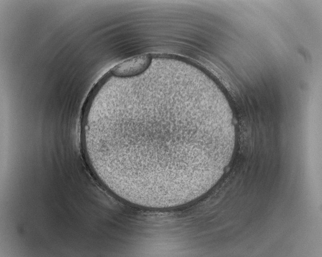 X0000116101076201001040947