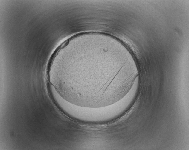 X0000116101077201001040947