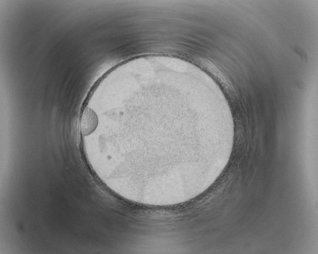 X0000116101079201001040947