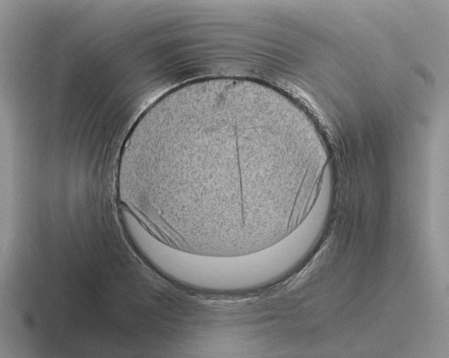 X0000116101081201001040947