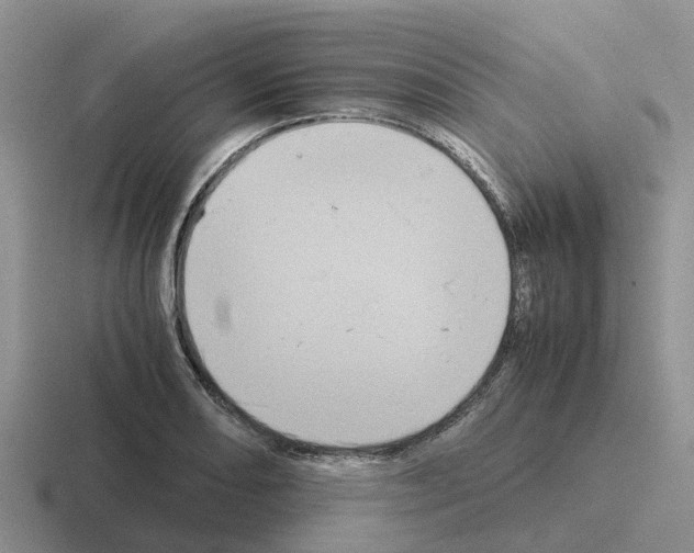 X0000116101082201001040947