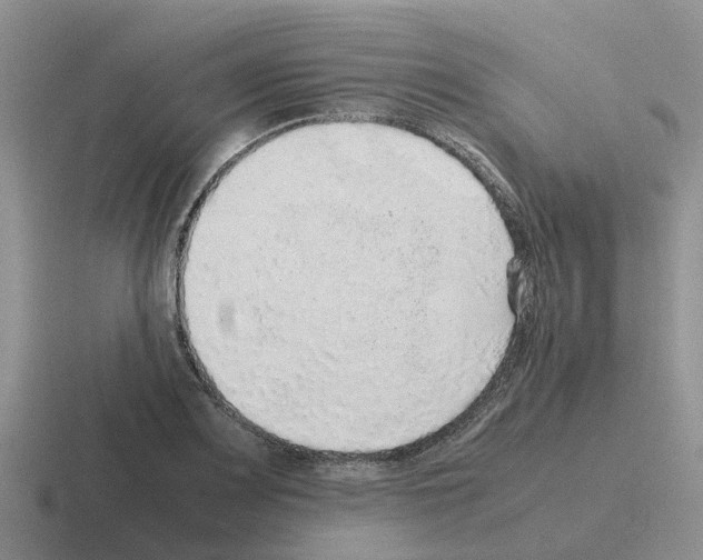 X0000116101083201001040947