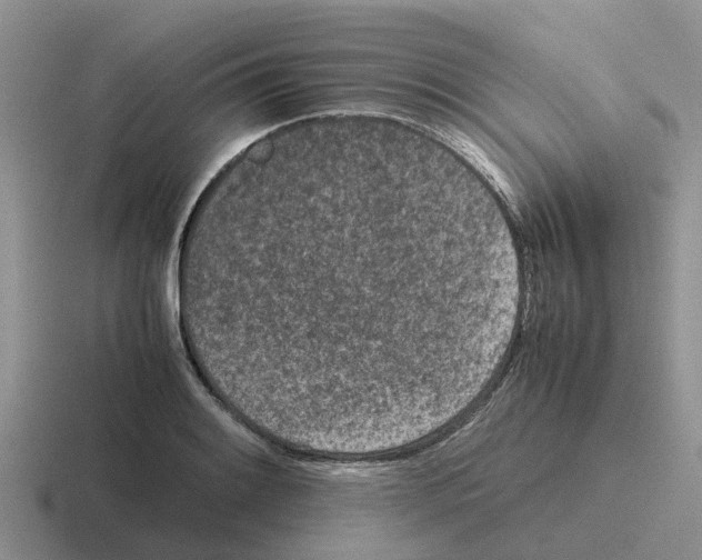 X0000116101084201001040947